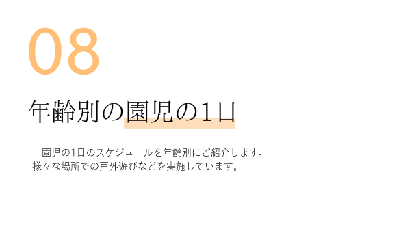 世界中から集めてきた絵本たち
